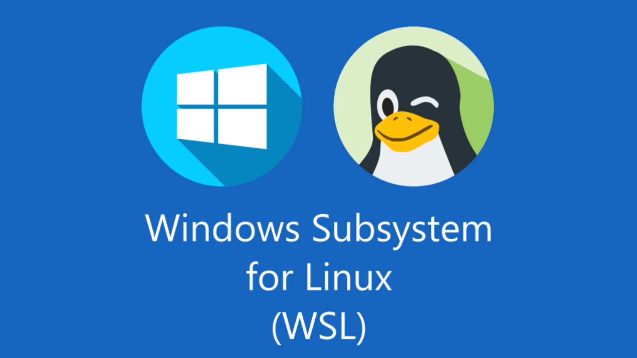 WSL vs Dual Boot Linux Installation