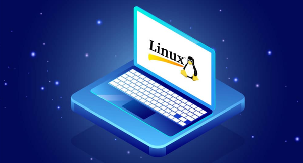 what is a linux device?
